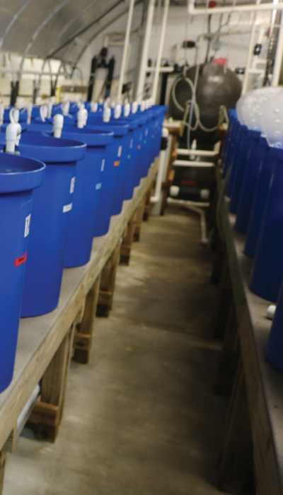 aquaculture innovation