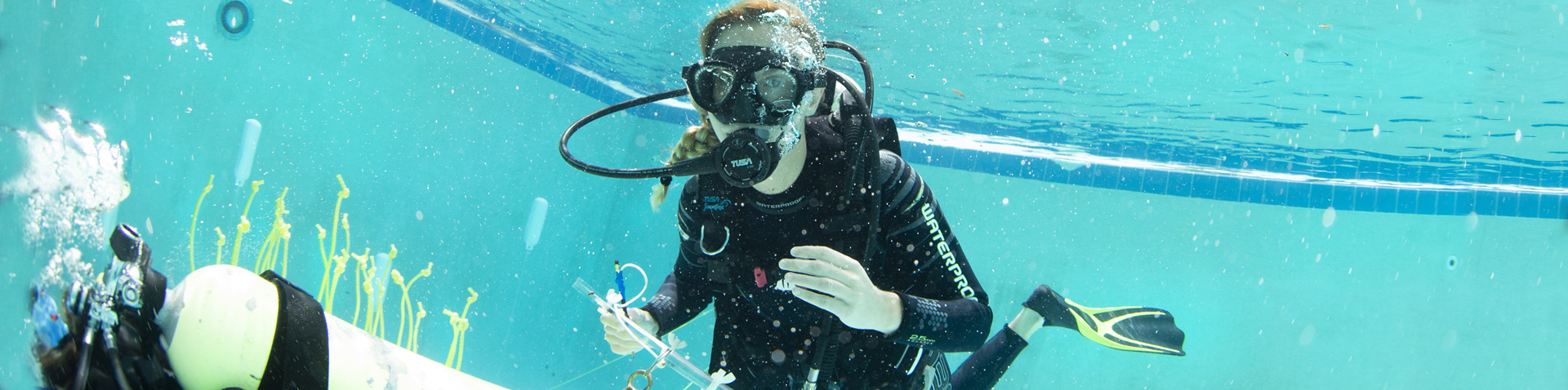 Education and Outreach