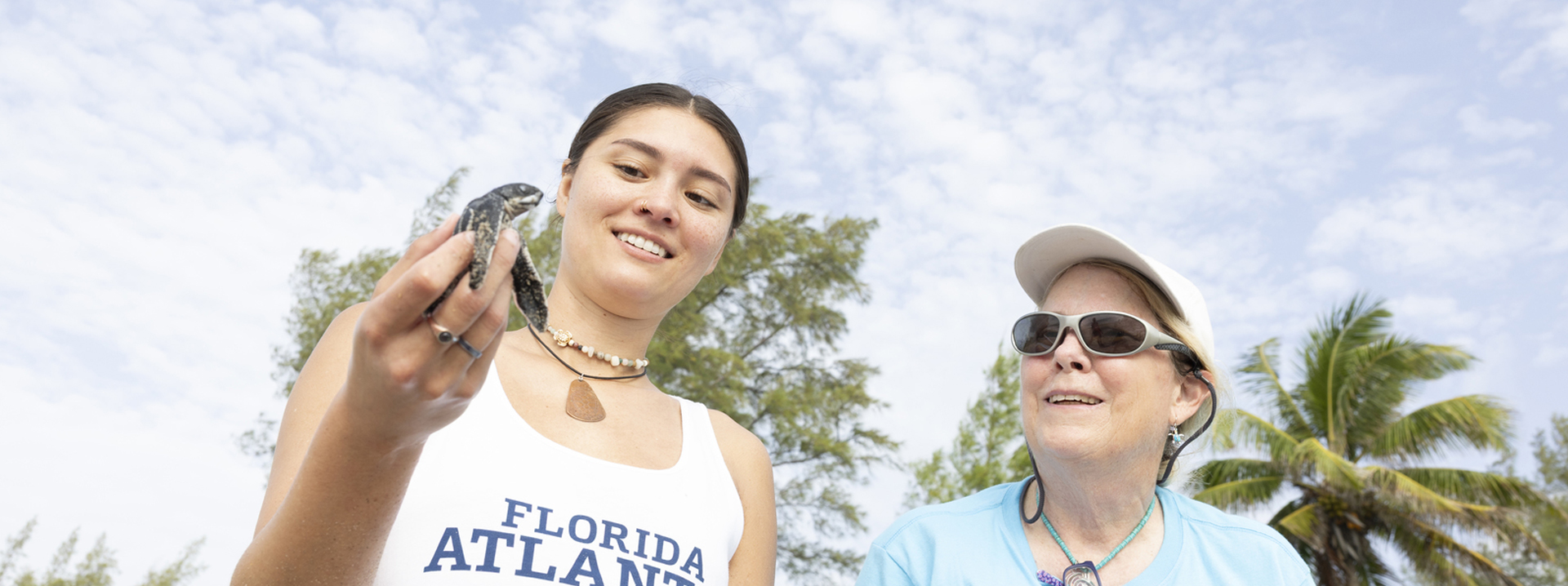 FAU College of Science student and faculty perform research with sea turles on beach in Boca Raton Florida