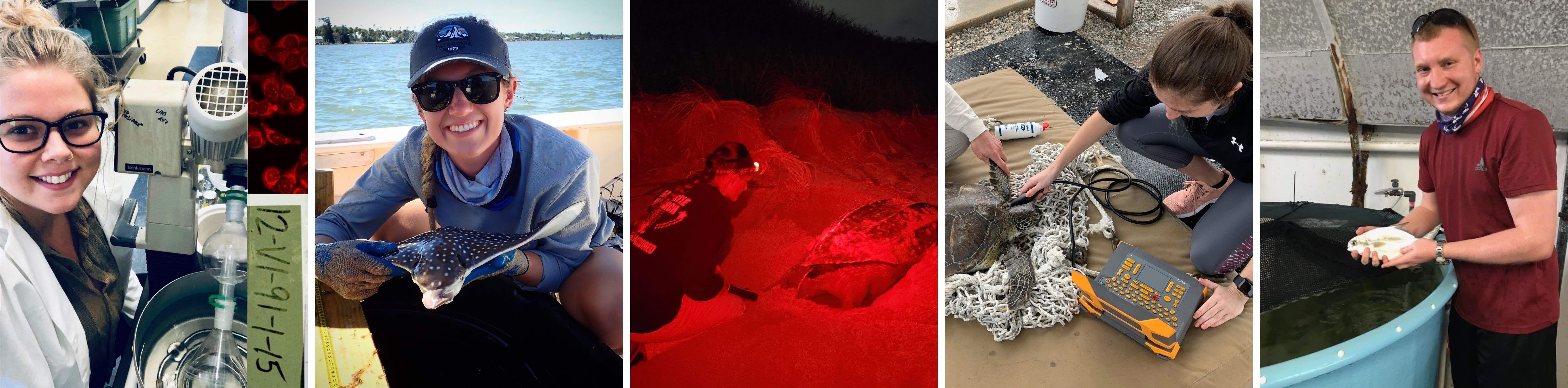 Brown Bag Lunch Series Image