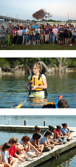 collage of images of students in action