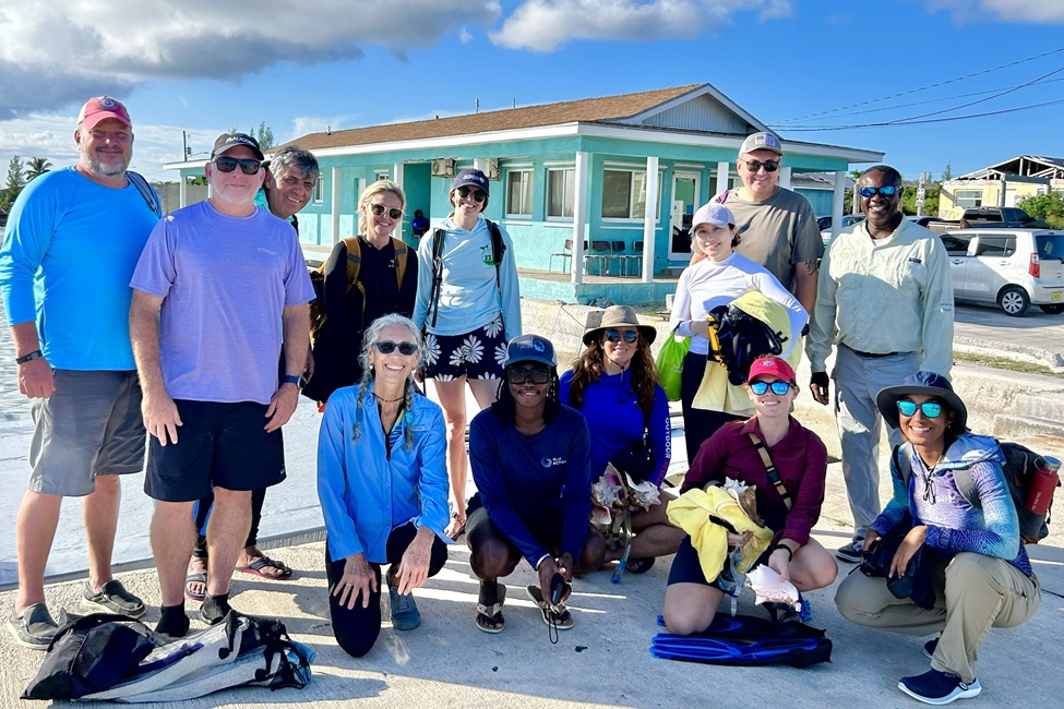 Queen Conch, Partners, Aquaculture 