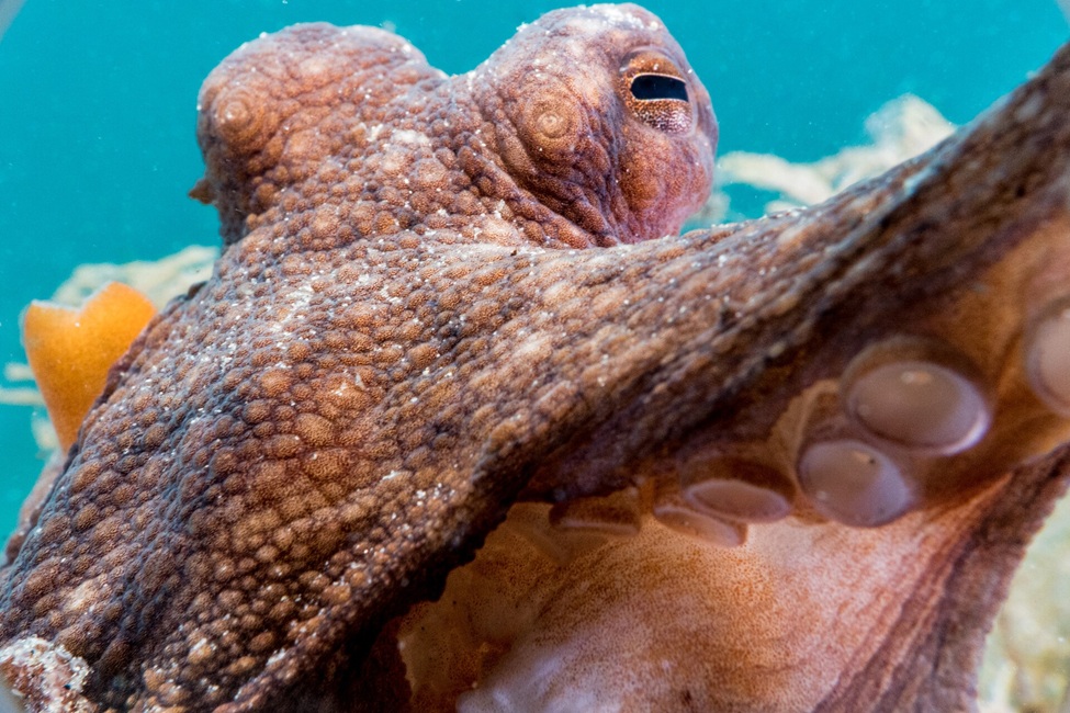 Discovery to Display: FAU Unveils the 'Art of Science' Winners