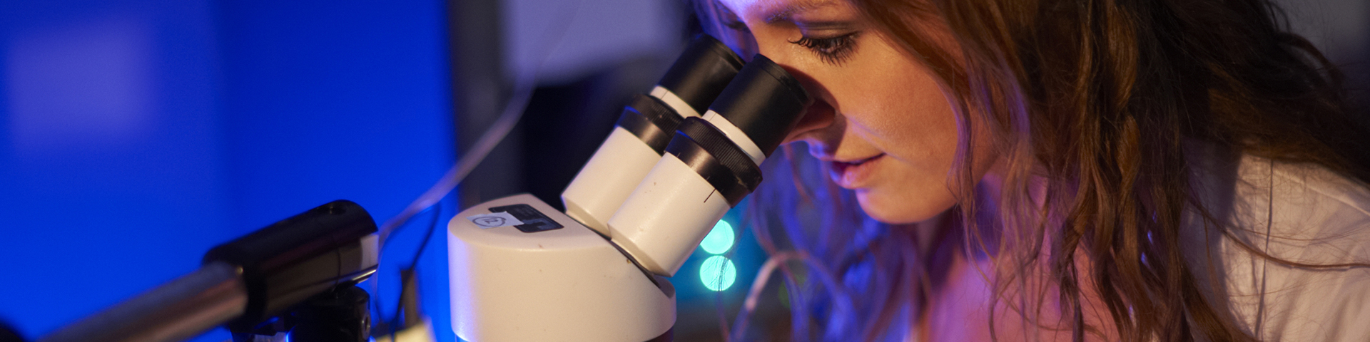 FAU Broward Academic Programs